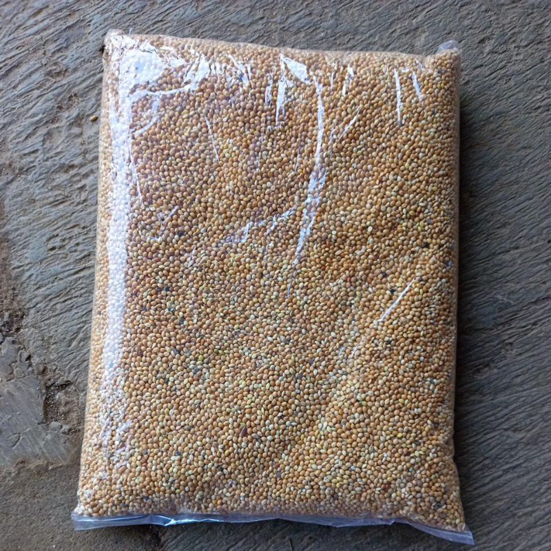 milet kuning super 1kg