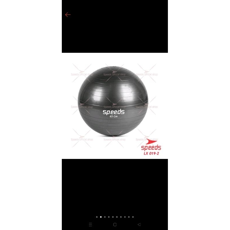 Gymbal Ibu Hamil Merk Speeds PRELOVED