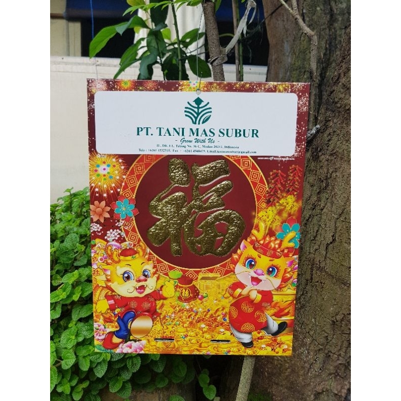 

tatakan triplek kalender dinding sisa produksi real pic