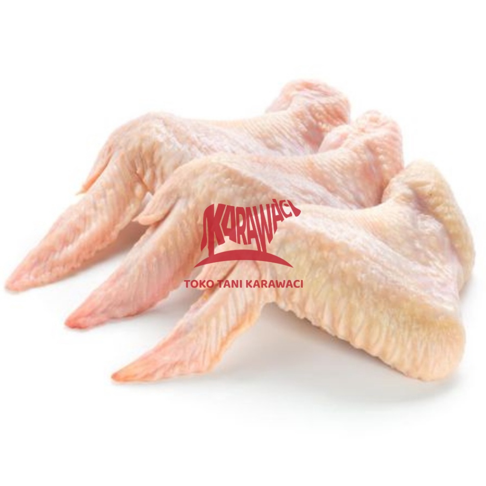 

KODE KGY447 Sayap Ayam / Chicken Wings