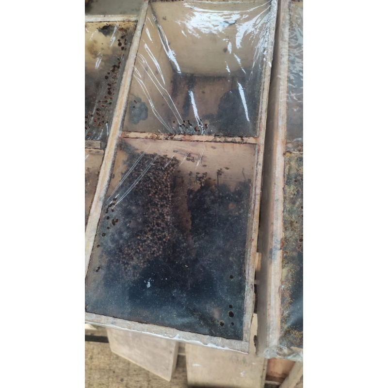 KLANCENG LEAVICEP SUPER STUP BESAR/ klanceng leavicep / Klanceng / levi