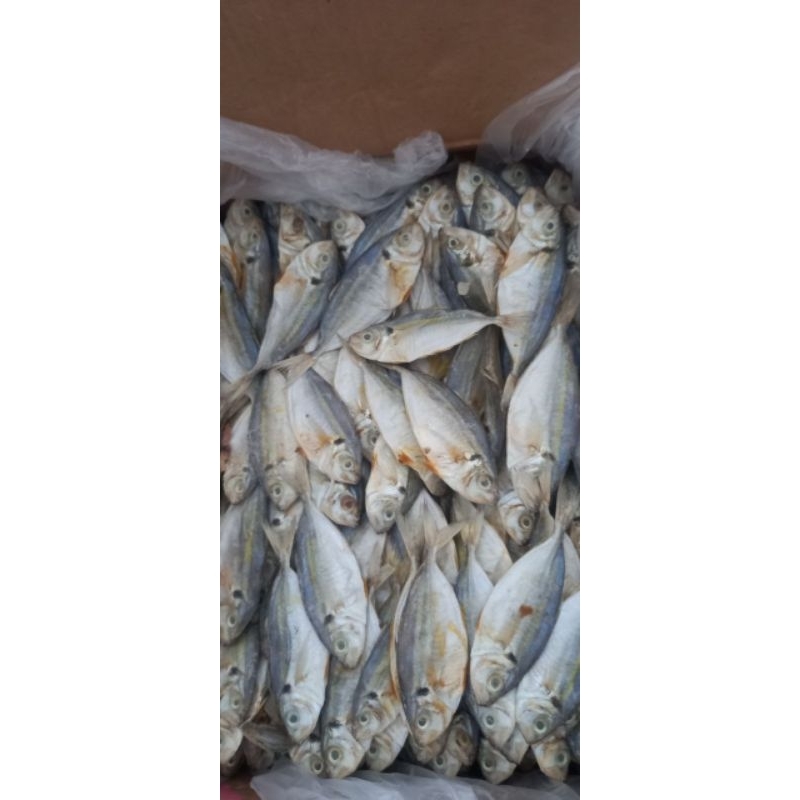 

ikan asin selar 250gr