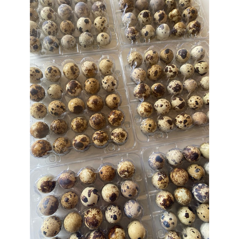 

Telur Puyuh Curah/Mentah 300 Gram