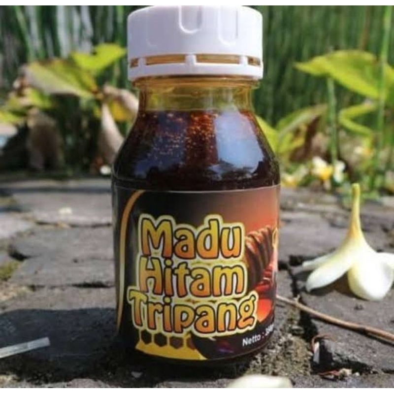 

Madu Tripang Hitam herbal diabetes stroke jantung kolesterol ampuh