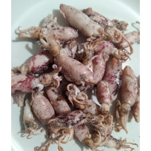 

KODE TJG625 Cumi asin baby 500gr/cumi asin rebus