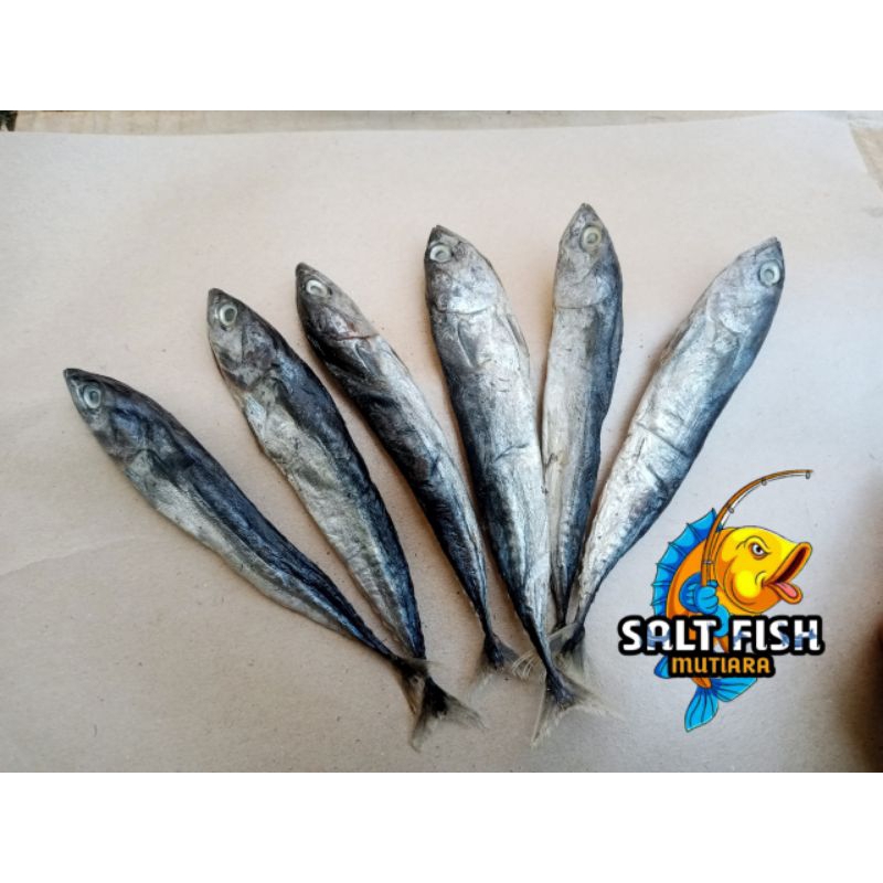 

Ikan Asin Tongkol Utuh Super Kemasan 250 Gram
