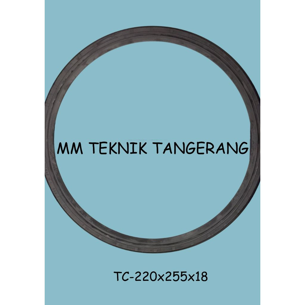 Oil seal TC 220x255x18 220 x 255 x 18 karet oli sil shock breaker 220 255 18