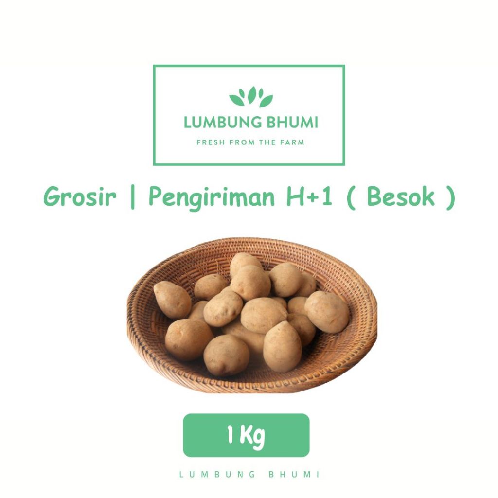 

Kentang Dieng Murah 1 Kg - Lumbung Bhumi Grosir