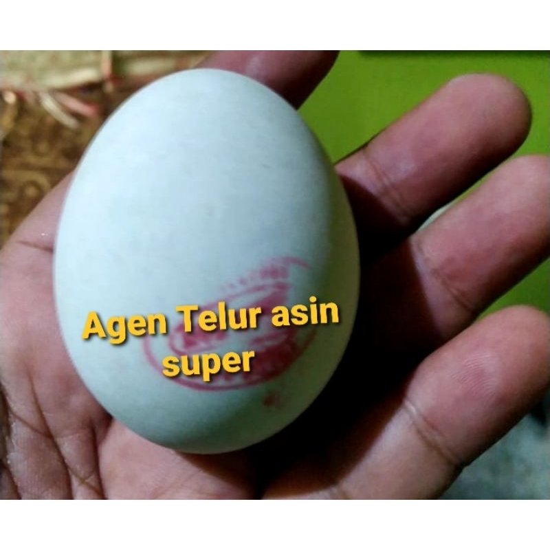 

telur asin masir per butir 3400 x 5