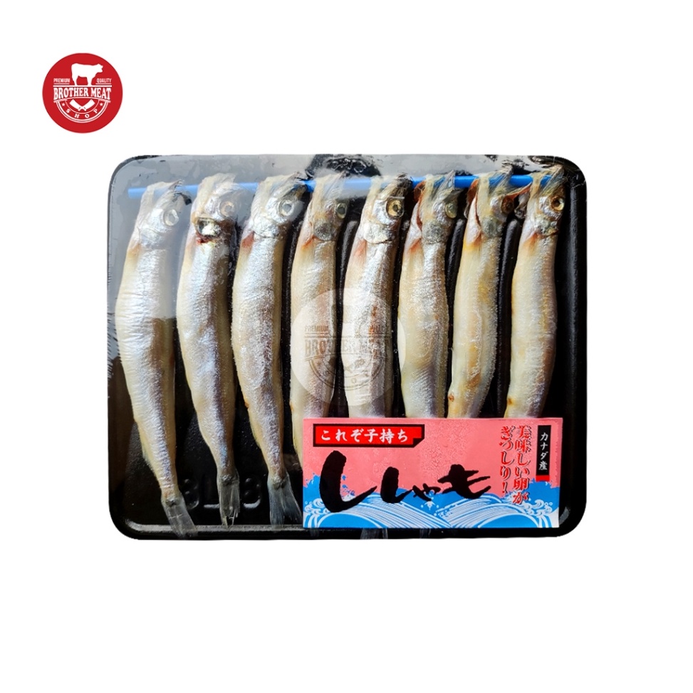 

BHRJ9481 【Penjualan Terbaik】COD Shisamo Fish / Ikan Capelin 160-190gr