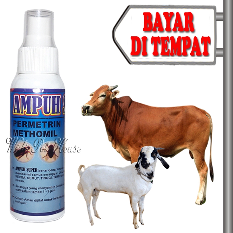 Obat Anti Kutu Sapi Kerbau Kambing Domba Semprot Ampuh Super