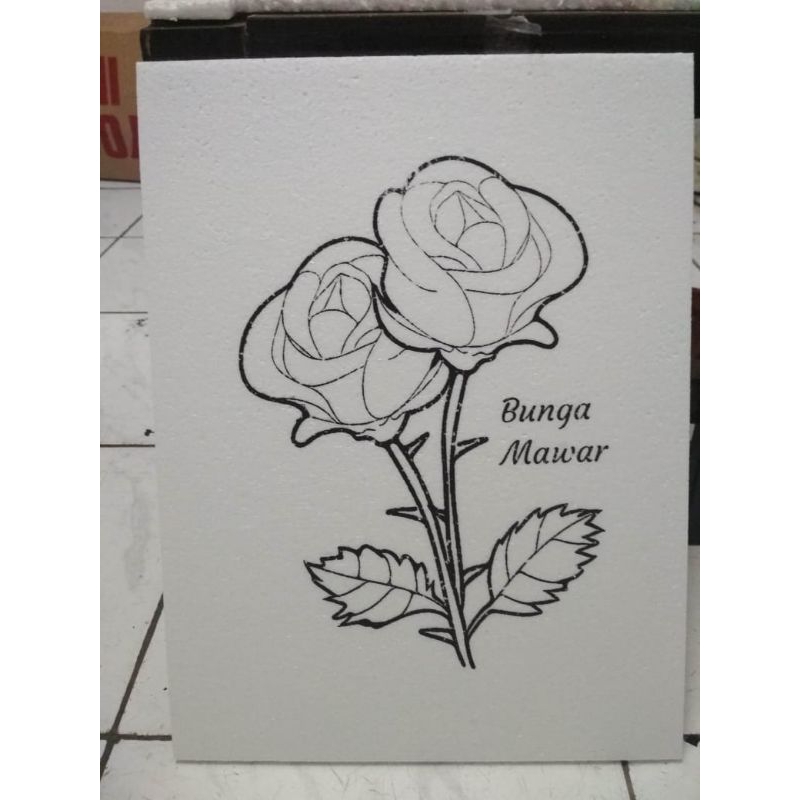 

Lukisan Sterofom Bunga/Tumbuhan Anak Uk. 30x40