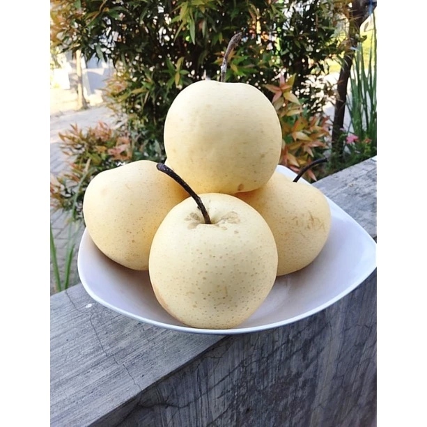 

Pear Century Pir Century