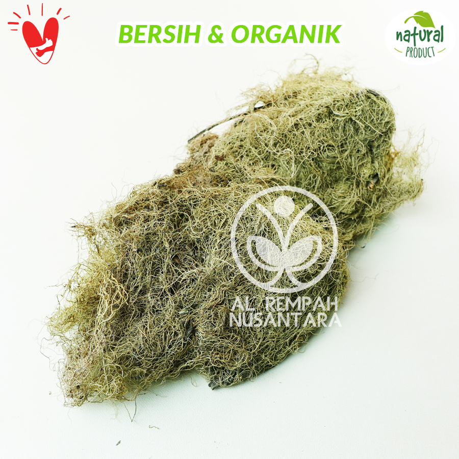 

Kayu Angin Kering Organik 100gr Asli Hutan