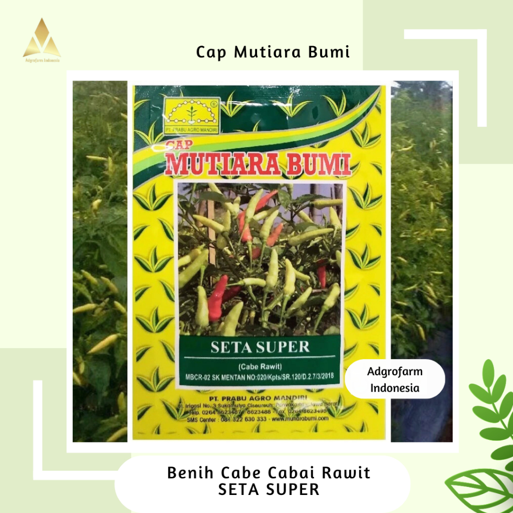 Benih Cabai Cabe Rawit Seta Super Cap Mutiara Bumi Isi 10 Gram