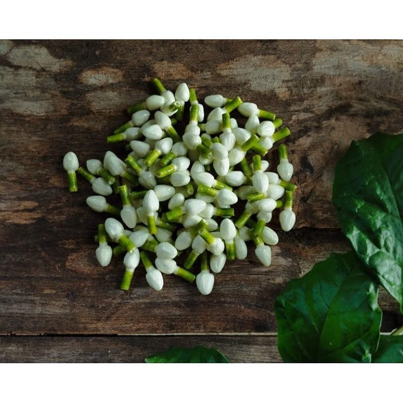 Bunga melati palsu atau melati sultan