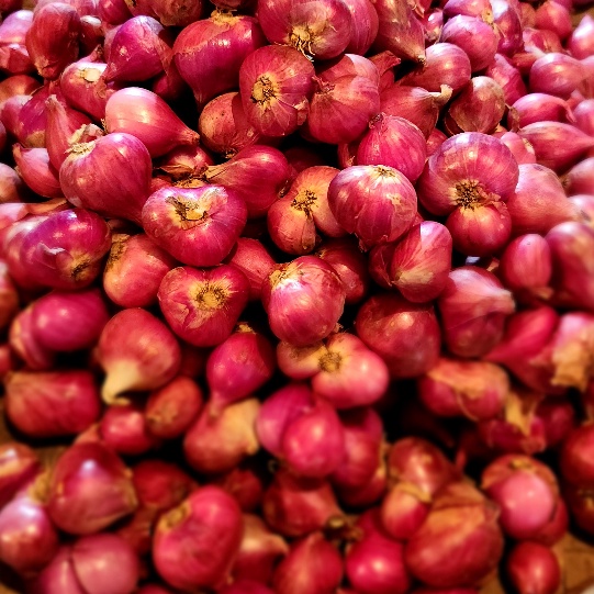 

[Produk SF65] Bawang Merah Probolinggo 1kg #Sale