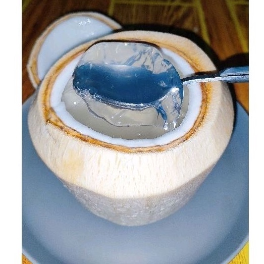 

[✻S81>] DEGAN JELLY/COCONUT JELLY/COCONUT THAILAND Product Terpopuler