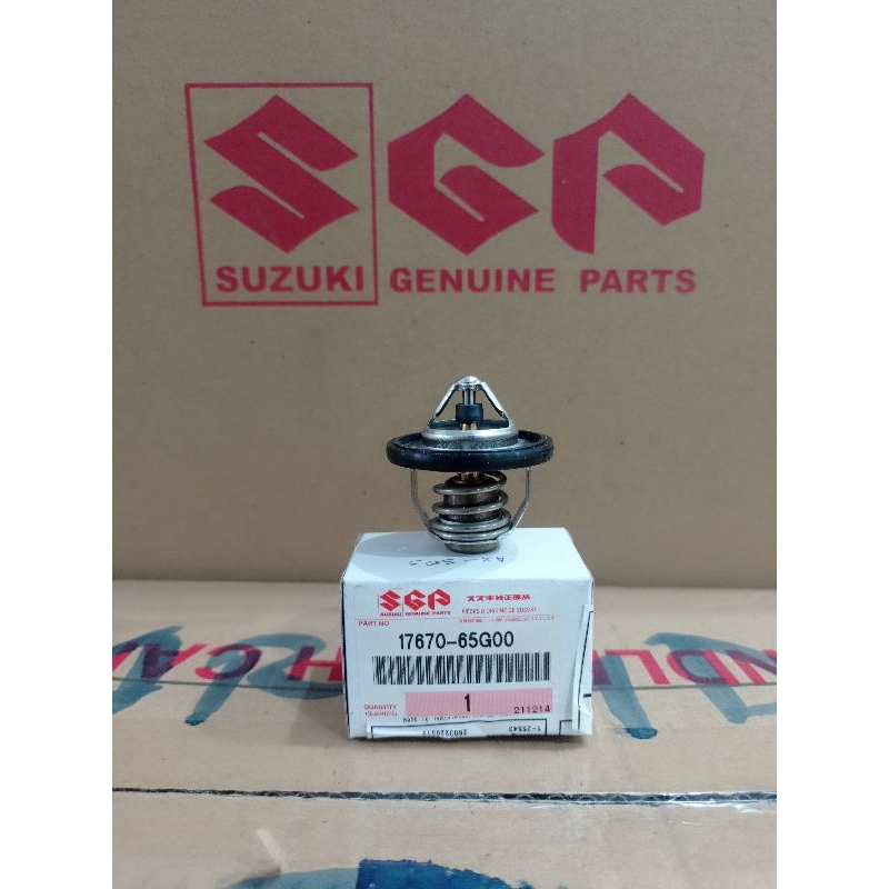 Thermostat new carry SGP