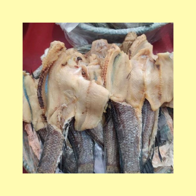 

Ikan gabus kering / ikan gabus asin