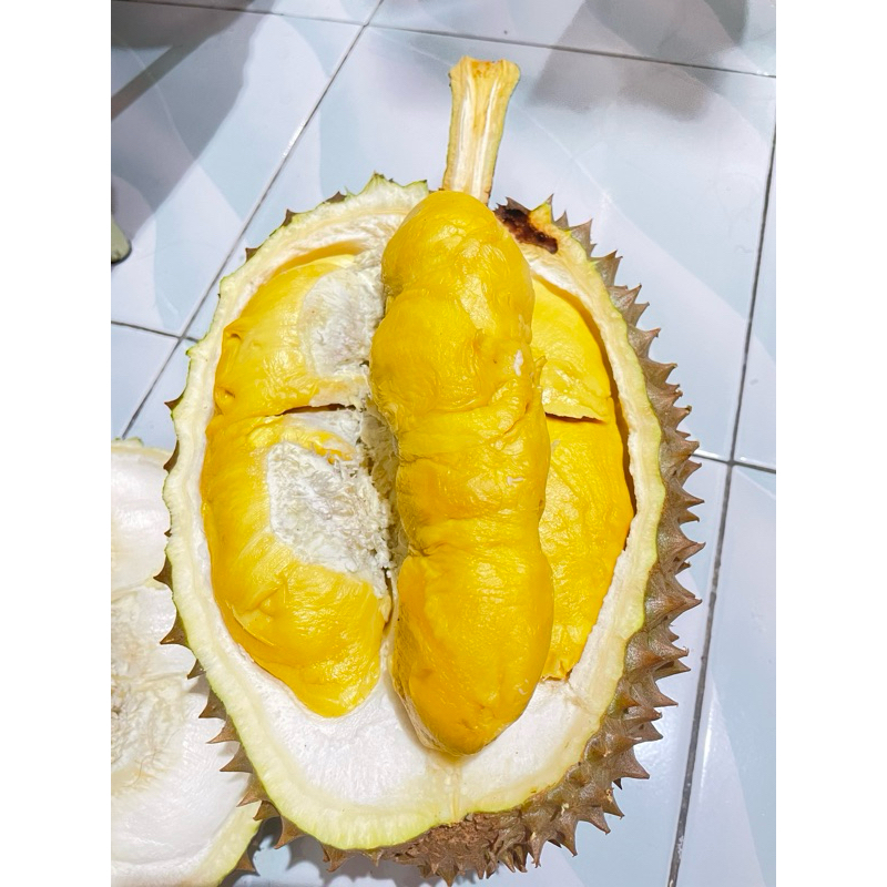 

durian bawor asli banyumas