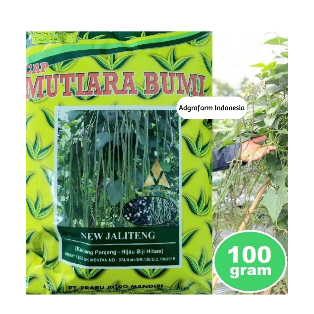 Benih Kacang Panjang New Jaliteng Tahan Virus Gemini  Isi 100 Gram Kemasan Cap Mutiara Bumi