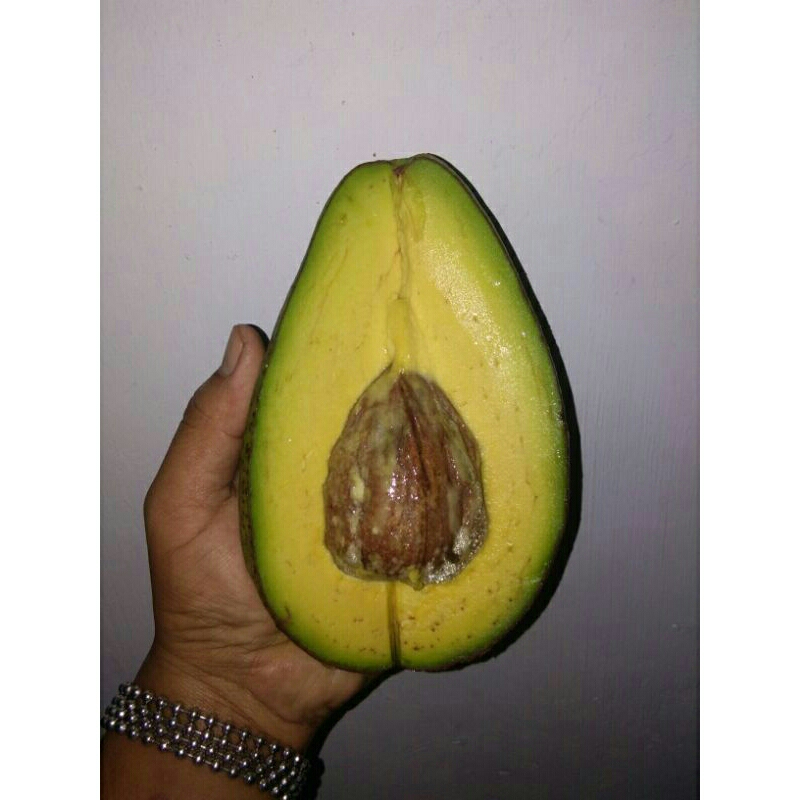 Buah Alpukat Aligator (1 KG)