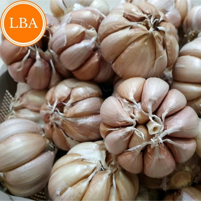 

Bawang Putih 250 Gram