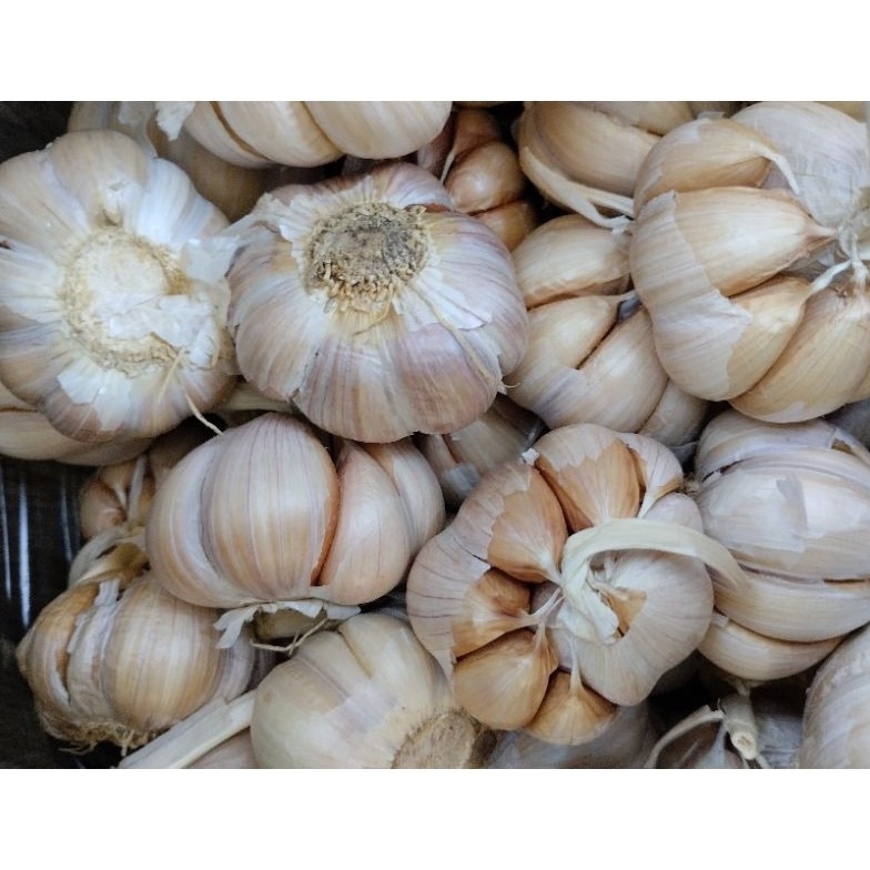 

[✳B2➢] BAWANG PUTIH SICO 1/2kg [176]