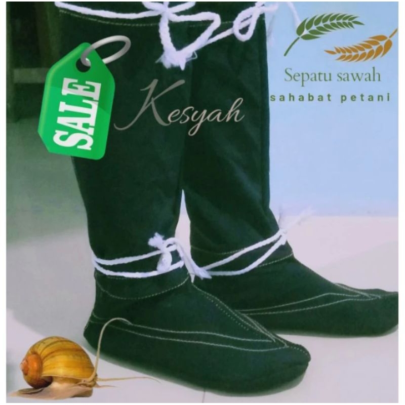 sepatu sawah anti keong