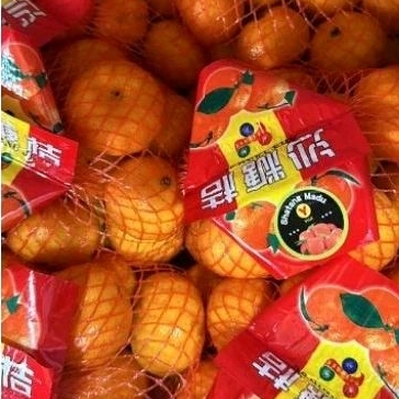 

Buah Santang Madu jaring