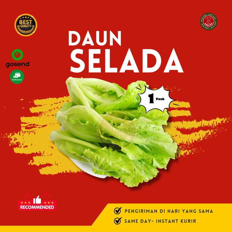 

Daun Selada 1 pack | Daun Selada Segar | Sayur Selada Segar | Sayur Lalapan Selada Fresh | Selada Hijau Fresh | Sayuran Daun Selada | Sayuran Segar Selada | Makanan Segar