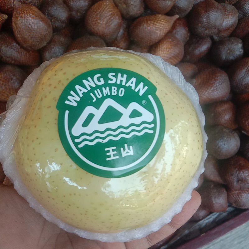 

golden pear/pir manis banyak air