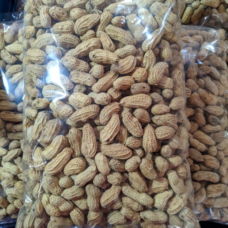 

Bestseller KACANG KULIT SANGRAI 1KG/KACANG BAKAR 1KG/ KACANG RENYAH/ KACANG MURAH/KACANG KILOAN/AGEN SNACK