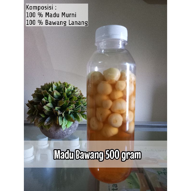 

Madu Bawang Lanang tunggal murni 100% premium murah
