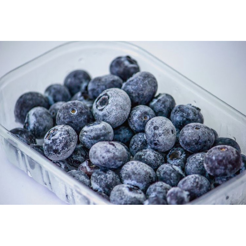 Premium Frozen Blueberry Super Buah Bluberi Beku