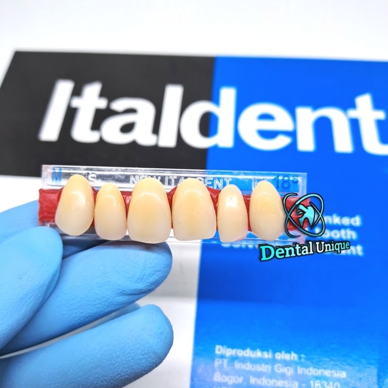 Gigi palsu italdent Perbox italdent depan atas Anterior Atas