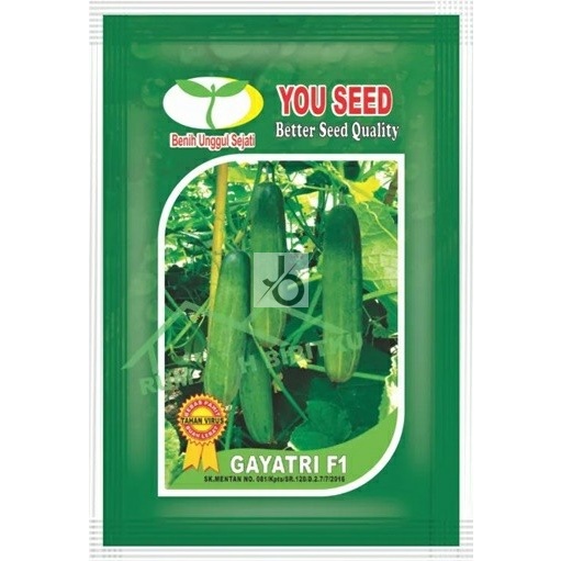 Johrnia 10 Benih Biji Timun GAYATRI F1