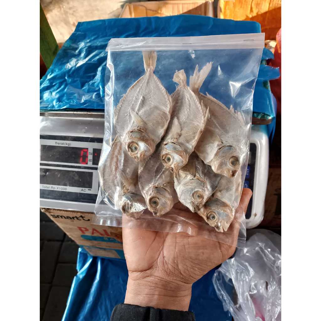 

Ikan Asin Kopek/Petek Pilihan - Kemasan 100g untuk Sensasi Gurih Sejati