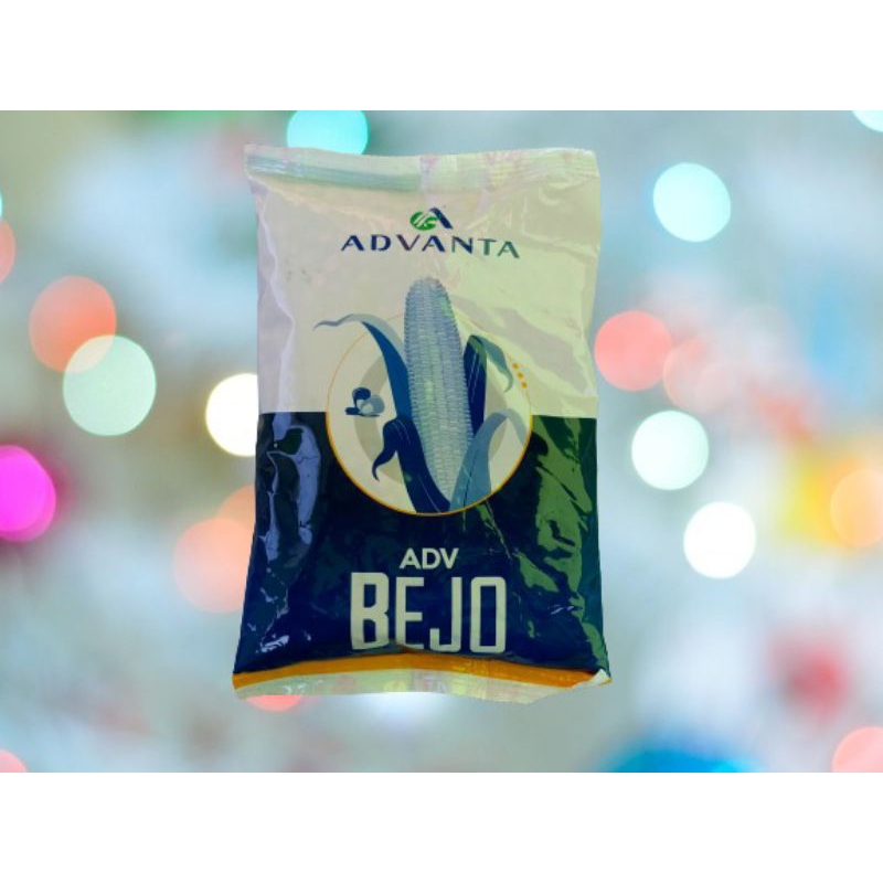 Benih Jagung Hibrida Advanta ADV BEJO