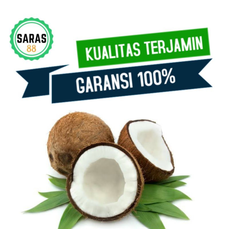 

Kelapa tua bulat utuh 1biji