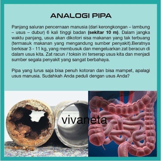 

[VARIAN] Original Senna Leaf Annafis Superfood Daun Senna Membersihkan Usus Detox Usus