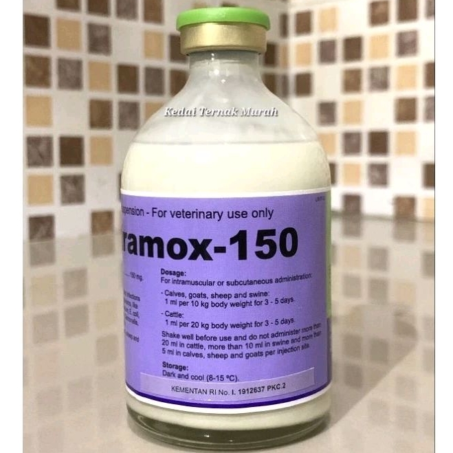 Intramox 100ml Inj Antibiotik Hewan Amoxicillin Spektrum Luas Sapi Kambing Babi Anjing Kucing Ayam
