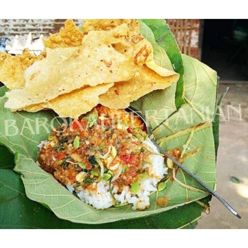 

Daun Jati Segar