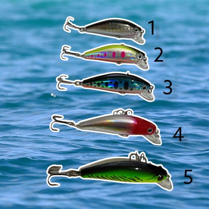 MINNOW LURE UMPAN PANCING 5CM MINNOW CASTING