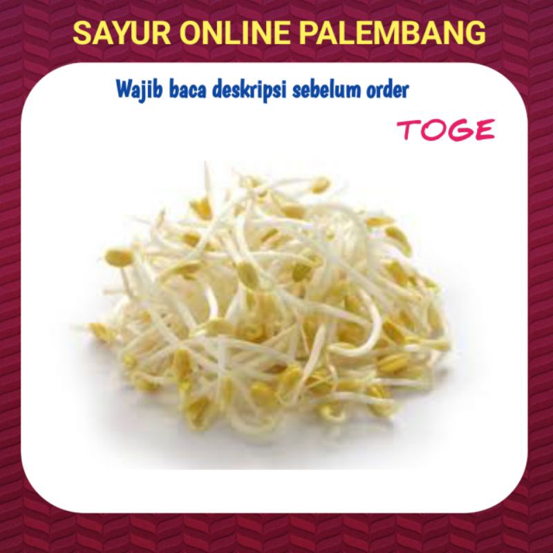 

Toge Kecambah Segar - Pasar Toko Sayur Segar Online Palembang
