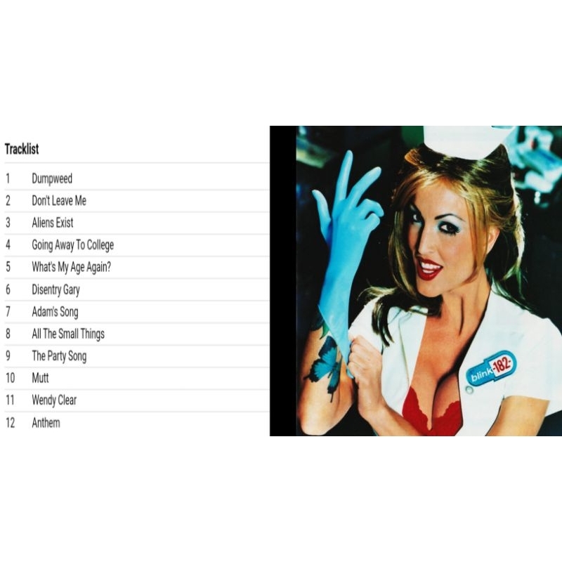blink 182 cd album enema of the state 1999