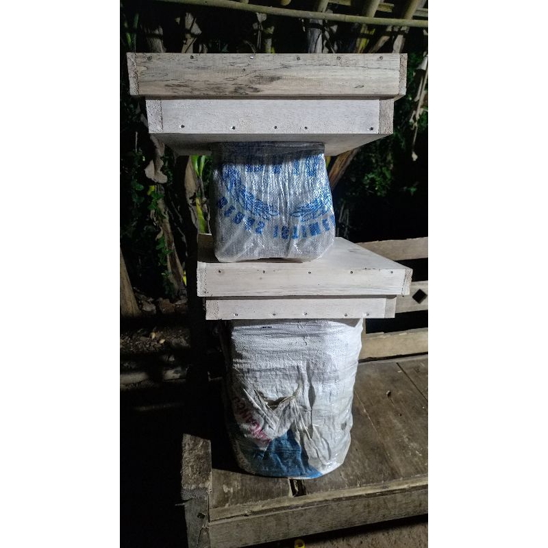 

trigona itama jawa atau kelulut atau klanceng