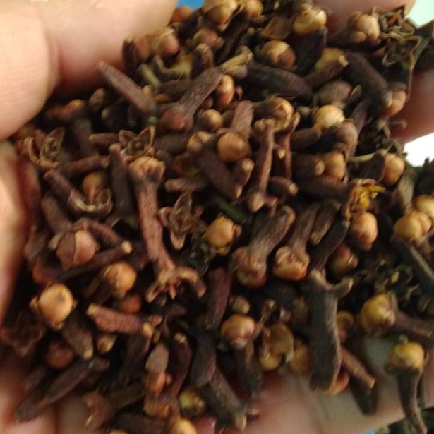 

Cengkeh utuh 100gr untuk bumbu masak b8k0n