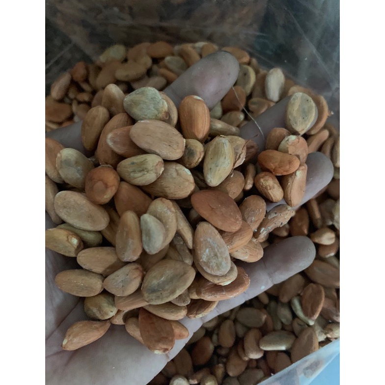 

COD biji cokelat / kakao kering ☍Diskon Promo